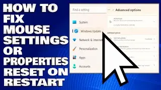 How To Fix Mouse Settings or Properties Reset on Restart [Solution]