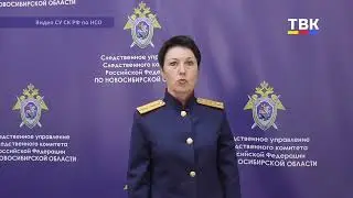 Житель города Бердска предстанет перед судом по обвинению в мошенничестве в рамках госпрограммы