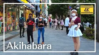 【4K】Afternoon Walk in Tokyo Electric Anime Town - Akihabara - Japan Walking Tours 2021