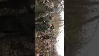 Зеленский хамит добровольцам в Золотом-4