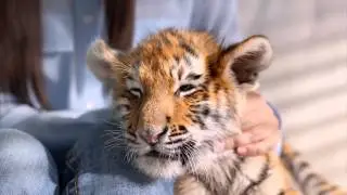 Их судьба в наших руках! Оксана Федорова