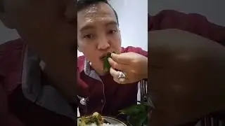 Mukbang Daun pepaya mentah,fresh metik langsung