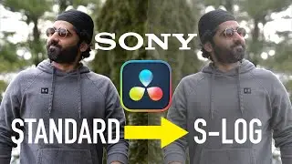 REVERSE SONY CREATIVE LOOKS BACK TO S-LOG (DaVinci Resolve)