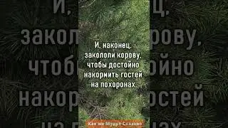 Мудрый учится на чужих ошибках, умный - на своих. #притча #цитаты #мудрость #shorts