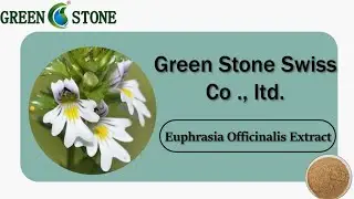 Contact us for Euphrasia Officinalis Extract/Eyebright Extract Powder10:1 wholesale price