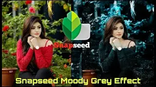 Snapseed 😯Moody 👌Grey Effect Snapseed Photo Editing Niraj Editz moodygrey