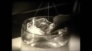 Электролиз. Учебный фильм для 10 класса средней школы.