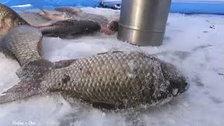 Пока Сам Не УВИДИШЬ! Рыбалка в Январе 2024 на Карася!  -24