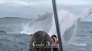 cassie jensen photography video 27 10 2020
