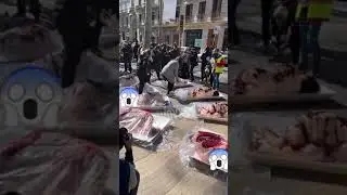 Туркияда тунги кулубдаги фохишаларни шу тарзда улдириб кучага ташлаб кетишибди
