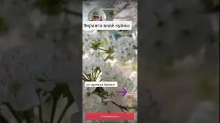 экранга видё куйиш