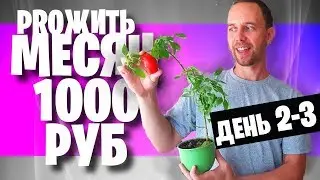 ЖИВУ МЕСЯЦ на 1000 🍏 ДЕНЬ 2 - 3 🍵 ЗЕЛЕНЫЙ СУП