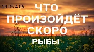 РЫБЫ🍀 Прогноз на неделю (29.05-4 июня 2023). Расклад от ТАТЬЯНЫ КЛЕВЕР. Клевер таро.