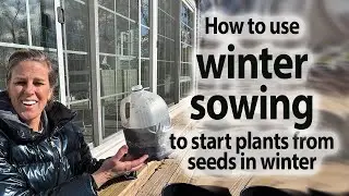 How To Start Plants from Seeds Using Winter Sowing