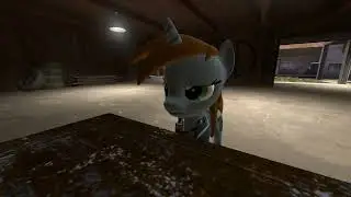 (SFM) That's 2 things (720p video)