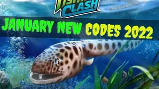 New Fishing Clash Gift Codes 2022 - Fishing Clash Codes 2022