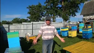 ПАСЕКА ЗАВОДЧИКА БАКФАСТ ч.2