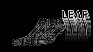 After Effects Typography | Echo Effect in After Effects | Snake Text Animation in After Effects