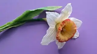 Сахарный нарцисс для торта/Sugar narcissus