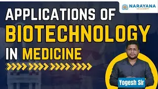 Applications of Biotechnology in Medicine | Science and Technology | Narayana IAS Academy