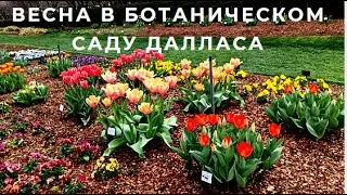 Погуляем в ботаническом саду Далласа! Весна, красота, тюльпаны, уют. Время отдохнуть!, расслабиться.