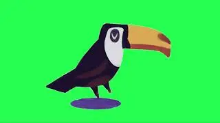 Toucans Bird Animation Green Screen | Chroma Key | Sky Fx