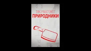 Несталеющая ржавь, Амакуса и Сунгарик. Так работают природные камни