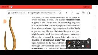 NCERT POCKET SERIES (ENGLISH) DAY 1