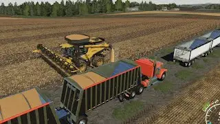 Lone Oak EP#68 | Slurry, Harvest | FS19 Timelapse |Farming Simulator 19 Timelapse