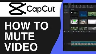 How To Mute Video In CapCut - Full Guide