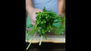 Do THIS with Cilantro and Parsley Stems