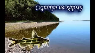 Скрипун. Русская Рыбалка 3.99.