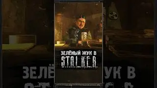 ЗЕЛЁНЫЙ ЖУК В S.T.A.L.K.E.R. #shorts #игры #stalker