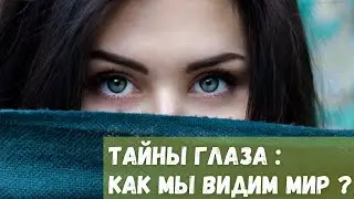 Тайны глаза : Как мы видим Мир?