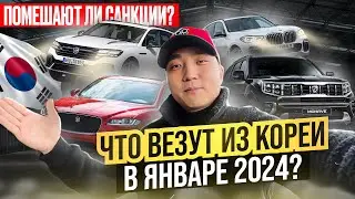 Обзор ЦЕН на АВТО ИЗ КОРЕИ🇰🇷🔥Какие машины везут в РФ 2024?#bmw #kia #volkswagen