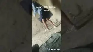 #zapallar