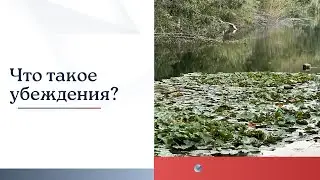 Что такое убеждения?