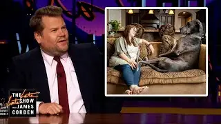 James Corden Has A Bone To Pick w/ World's Biggest Dog