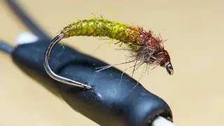 Cheat's Czech Nymph; quick and easy way to make a Czech nymph for river trout and grayling fishing