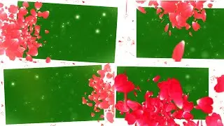 NEW Valentines Day 4K Green Screen {2022}