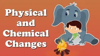 Physical and Chemical Changes | 