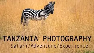 Tanzania Photography Adventure Update