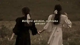 In Gowan Ring - Moonlit Missive (Türkçe Çeviri)