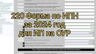 220 налоговая форма по ИПН за 2024 год для ИП на ОУР