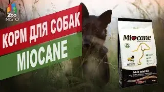 Корм для собак Миокане | Обзор Корма для собак Миокане