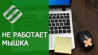 Не работает 🖱️ мышка на компьютере или 💻 ноутбуке  с Windows 10, 8 и 7