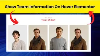 How to create Team Member with Hover effect in elementor Freely