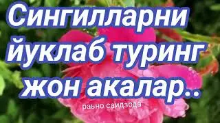 АССАЛОМУ АЛАЙКУМ АЗИЗЛАРИМ
