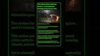 Black Myth  Wukong Review—A Fantastically Exciting Action Game!