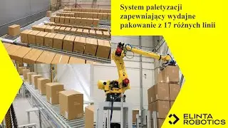 System paletyzacji zapewniający wydajne pakowanie z 17 różnych linii